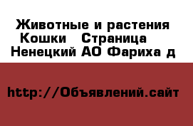 Животные и растения Кошки - Страница 4 . Ненецкий АО,Фариха д.